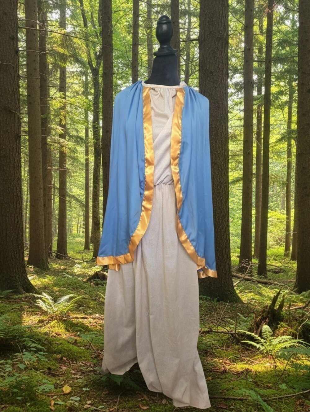 Halloween/Renaissance Fair Costume